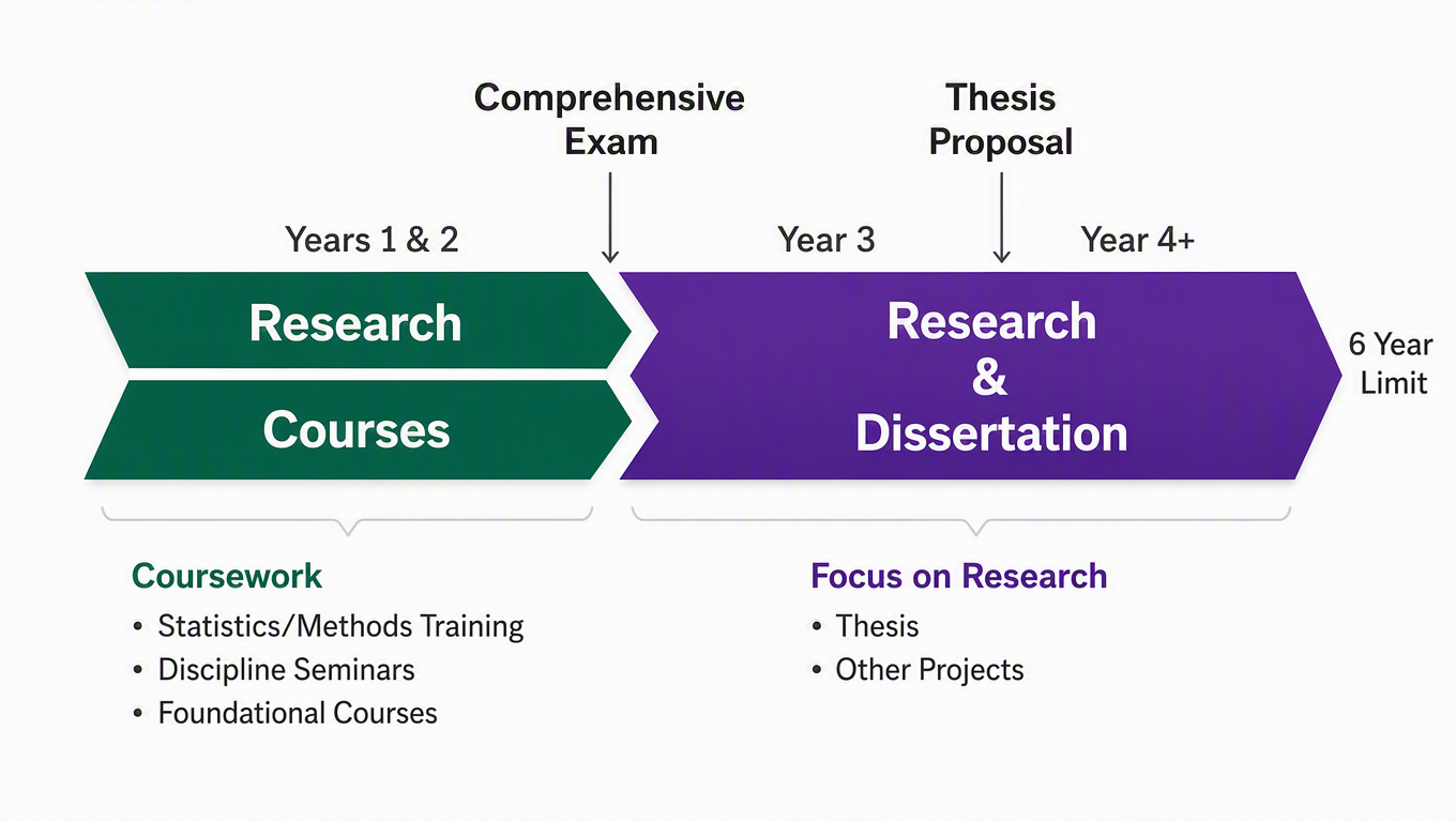 PhD Timeline Infographic